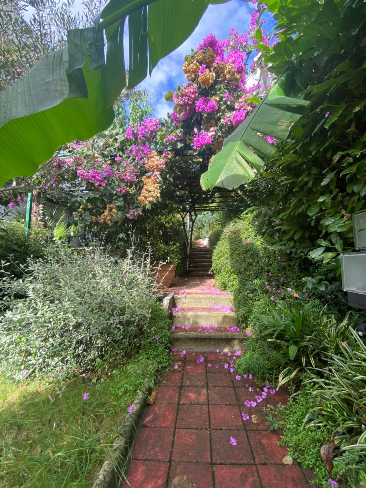 Apartament Sunny Garden Opatija Zewnętrze zdjęcie